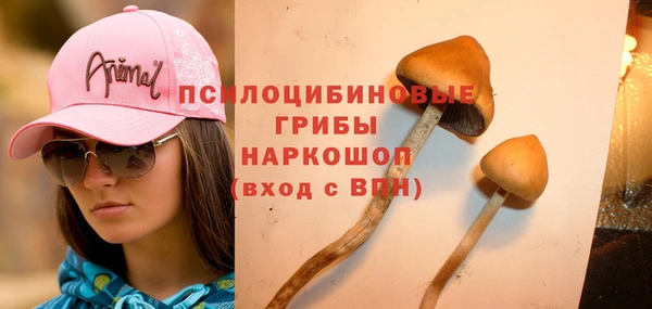 шишки Алзамай