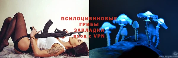 прущий лед Алексин