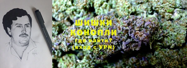шишки Алзамай