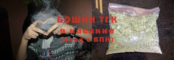 шишки Алзамай
