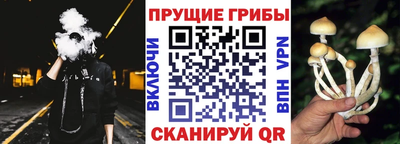 omg   Далматово  Галлюциногенные грибы прущие грибы 